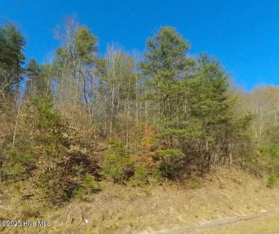 0 Hampton Street Columbus, NC 28722 - Photo 4 of 10 3