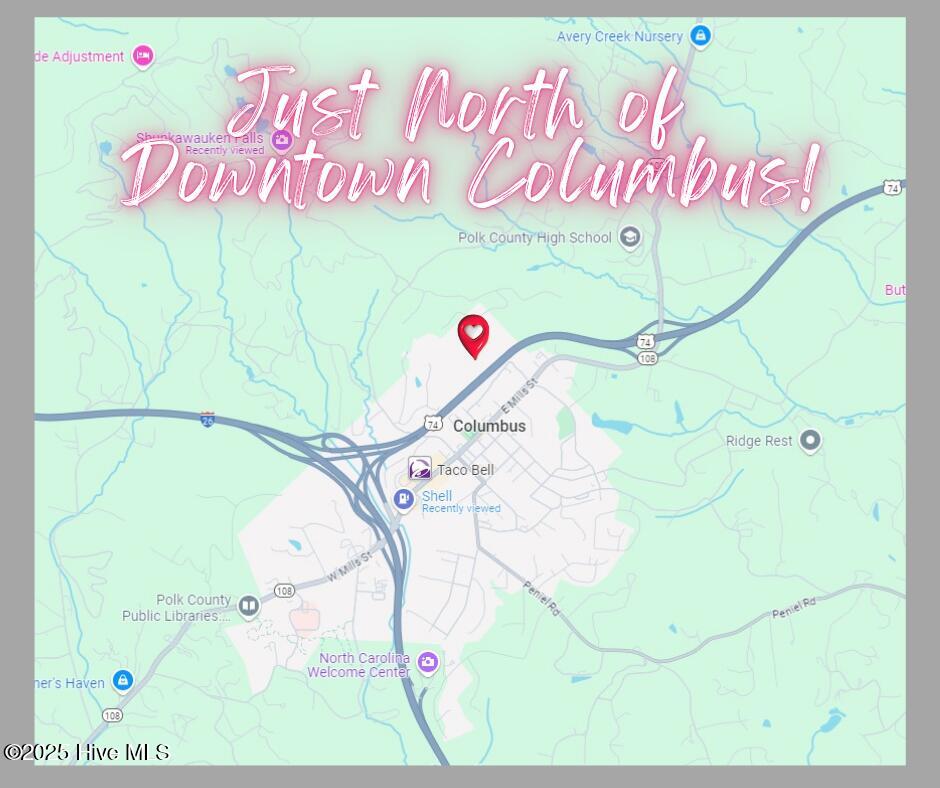 0 Hampton Street Columbus, NC 28722 - Photo 6 of 10 4