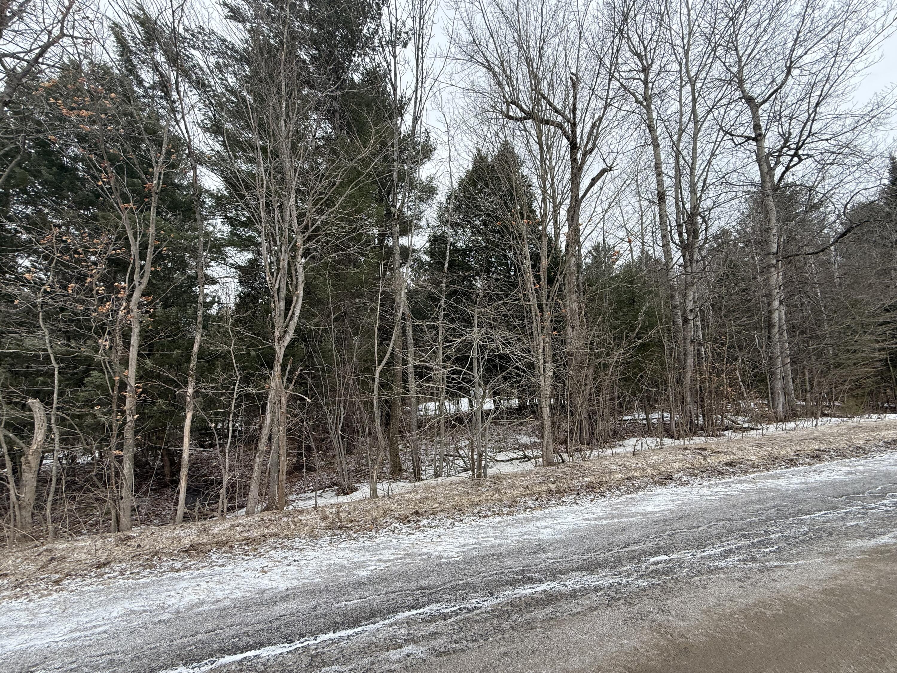 0 Eddy Road Mooers, NY 12958 - Photo 2 of 3 IMG_3805
