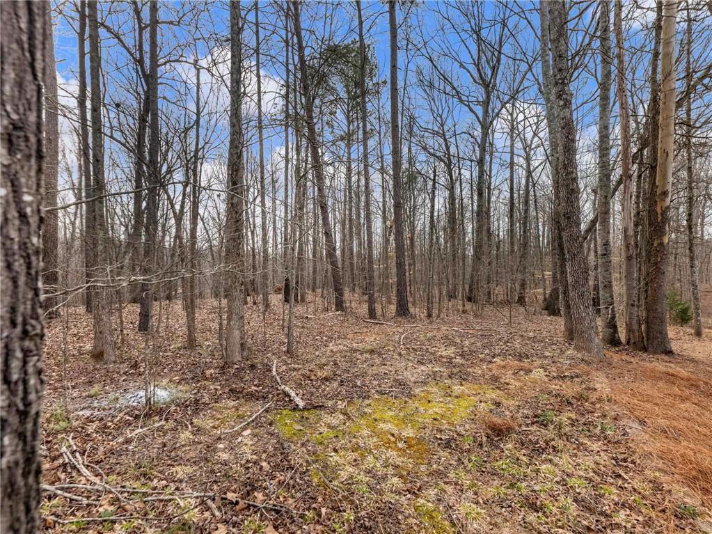 6147 Golf View Court Jefferson, GA 30549 - Photo 58 of 73