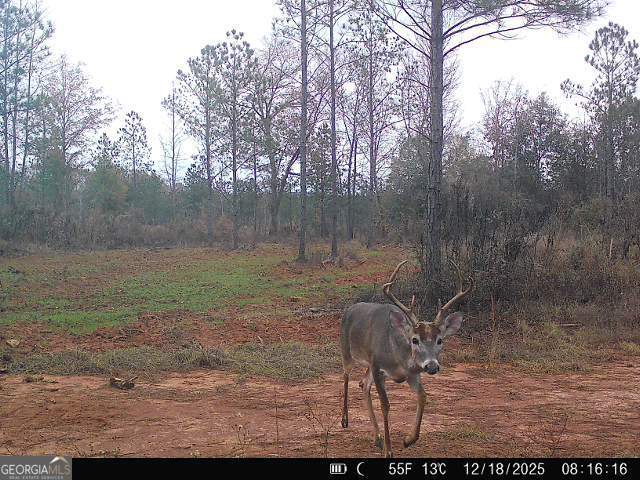 4066 Green Grove Road Lumpkin, GA 31815 - Photo 45 of 48 Gallery Image 45