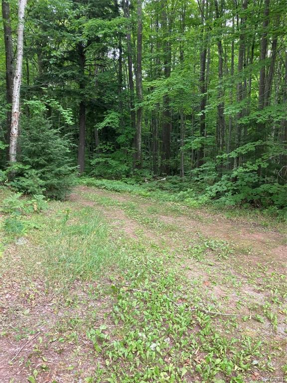 2249 County Road 550 Road Big Bay, MI 49808 - Photo 47 of 53