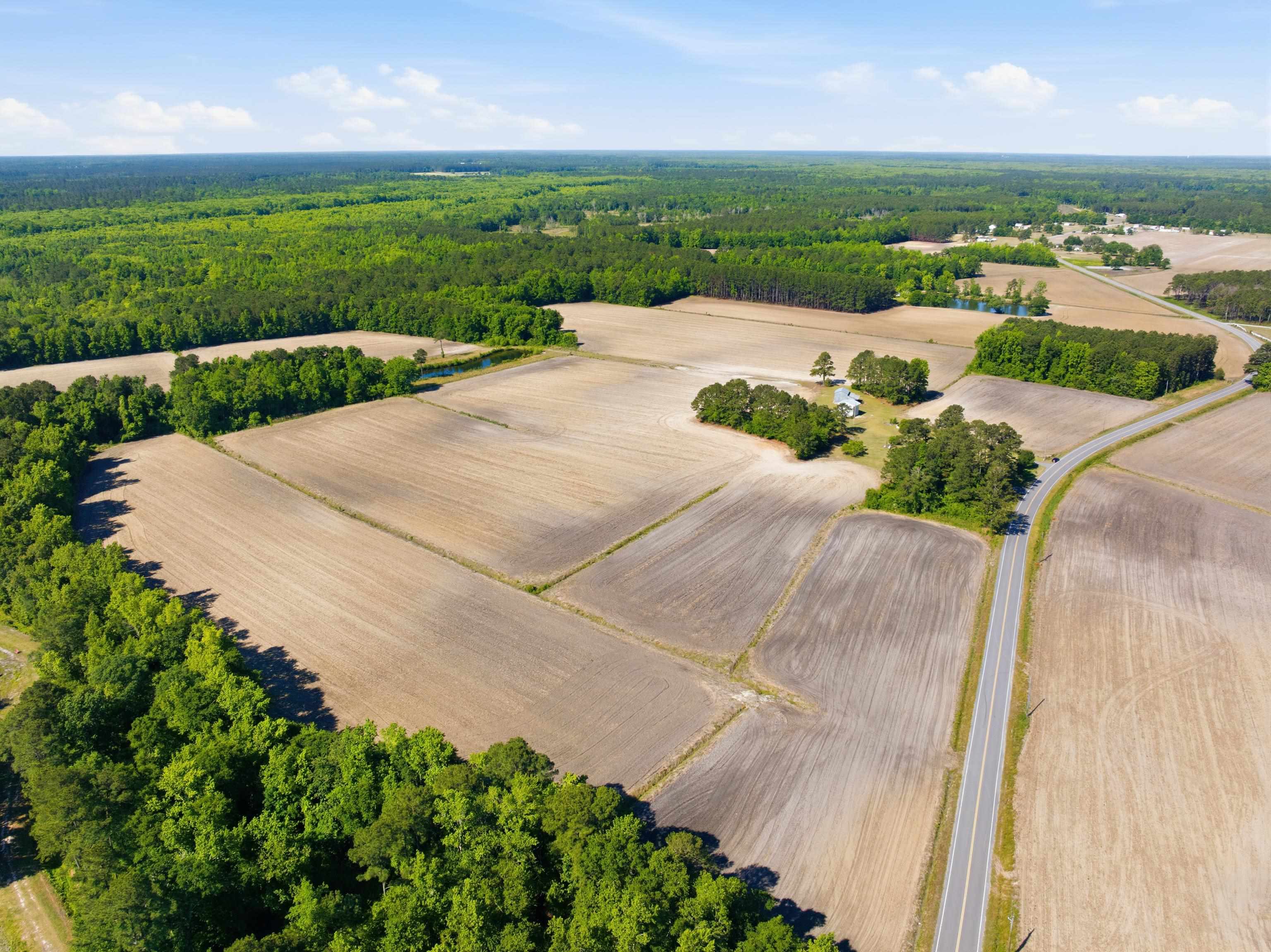 9475 Lake Swamp Road Nichols, SC 29581 - Photo 20 of 36