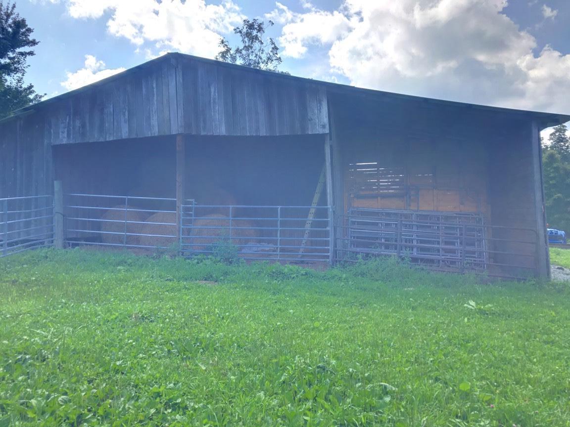 1229 Franklin Loop Clarkrange, TN 38553 - Photo 36 of 37 028