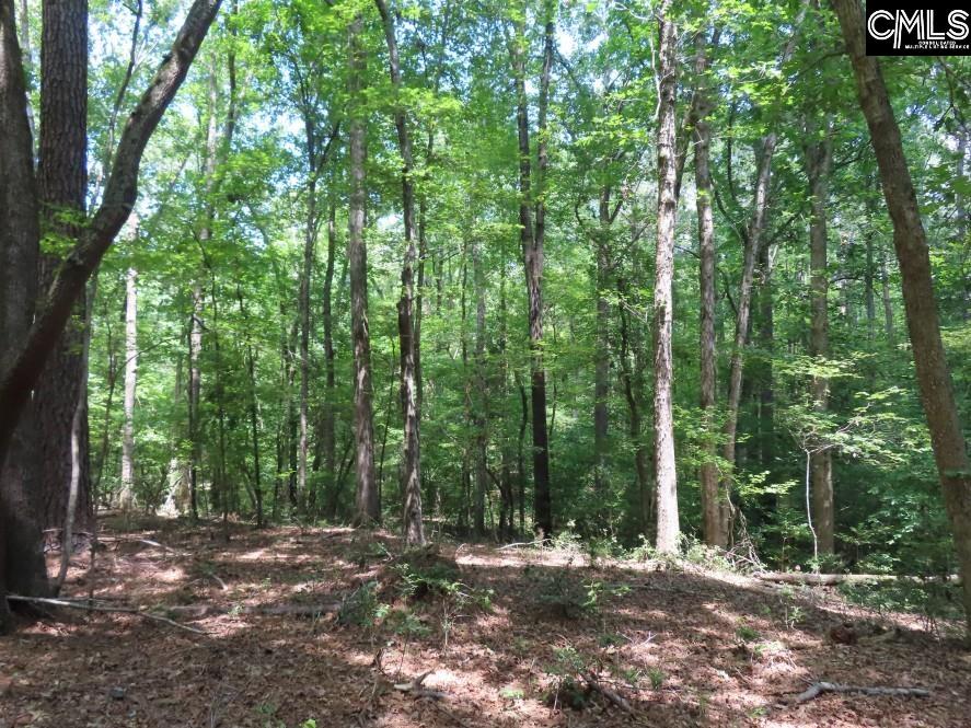 0 Park Road Ridgeway, SC 29130 - Photo 28 of 47