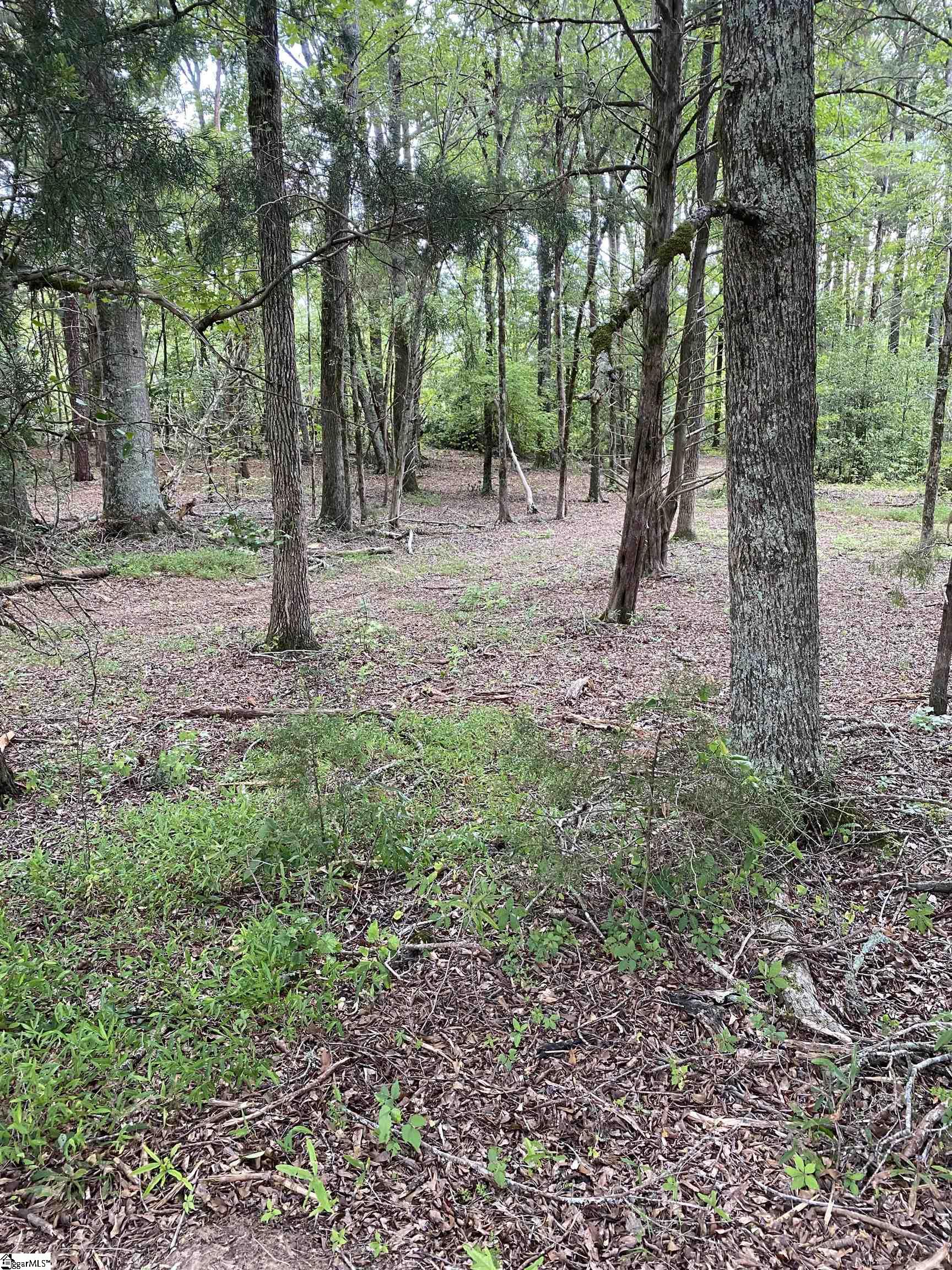 0 Edgewater Road Woodruff, SC 29388 - Photo 2 of 5