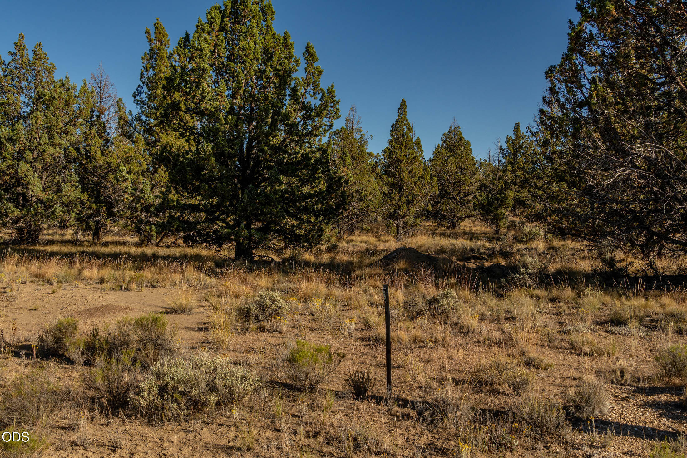 Southeast Zuni Road Prineville, OR 97754 - Photo 9 of 20