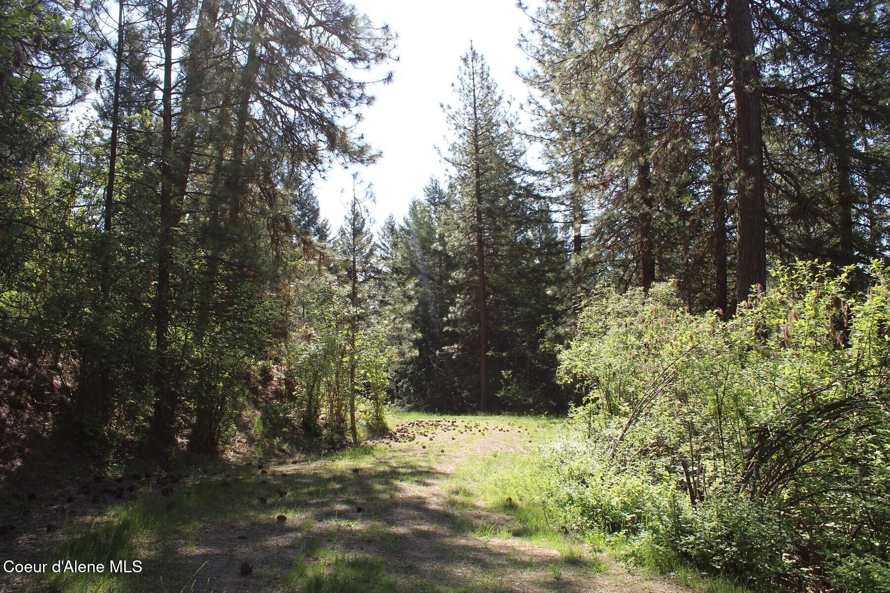 881 South Allen Road Coeur D'Alene, ID 83814 - Photo 3 of 26 Allen Private Driveway 1