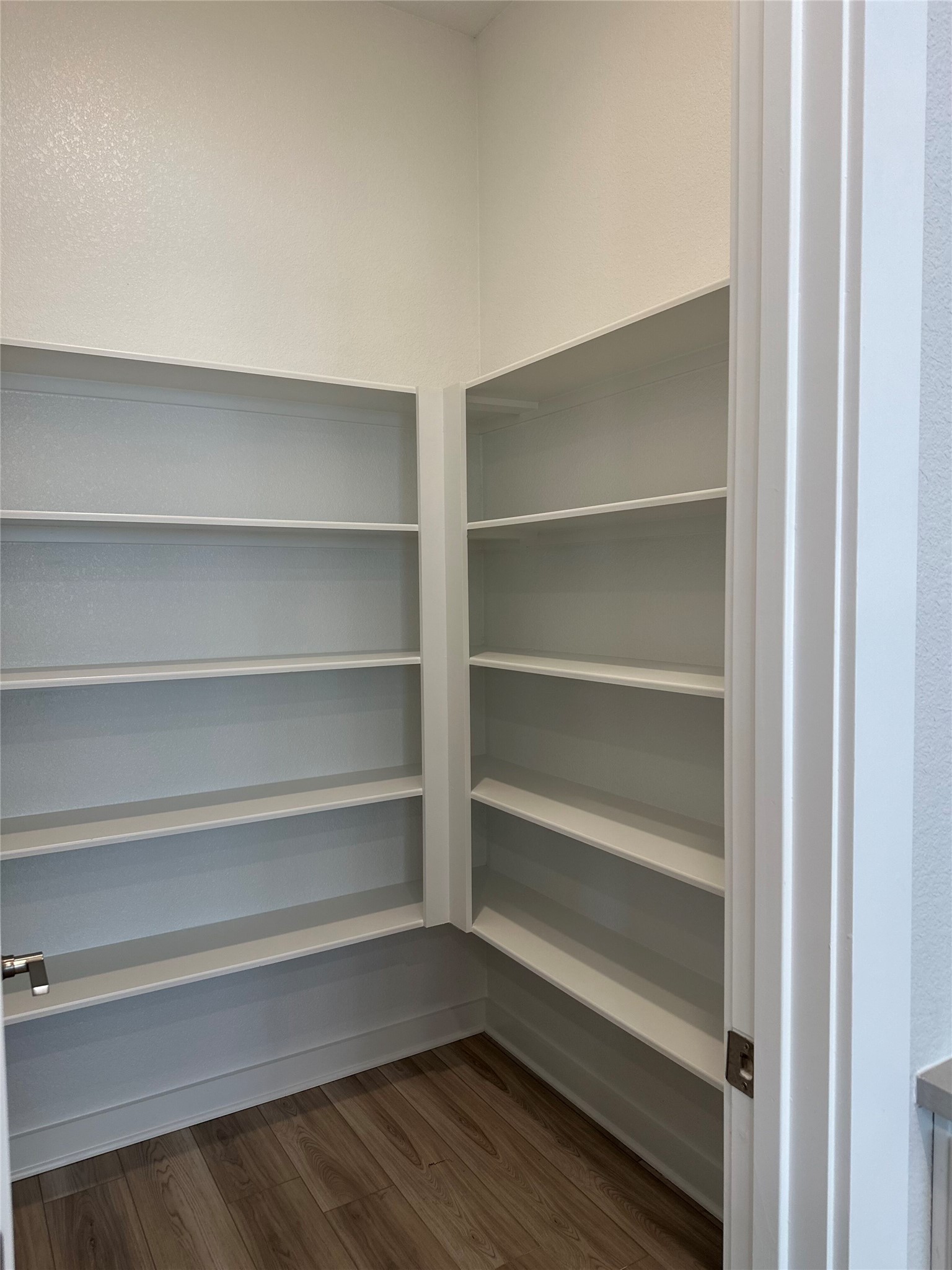 412 Lariat Loop Liberty Hill, TX 78642 - Photo 13 of 38 a view of walk in closet with empty racks