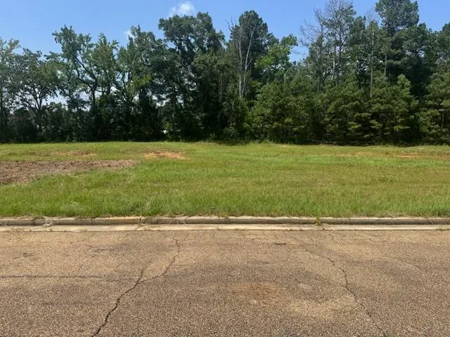 $80,599 | Lot 3 Business Center Drive, McComb, MS 39648
