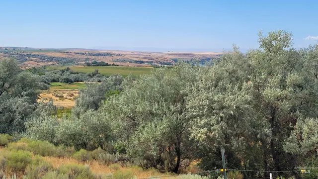 $200,000 | 1250 East (parcel 2), Buhl, ID 83316