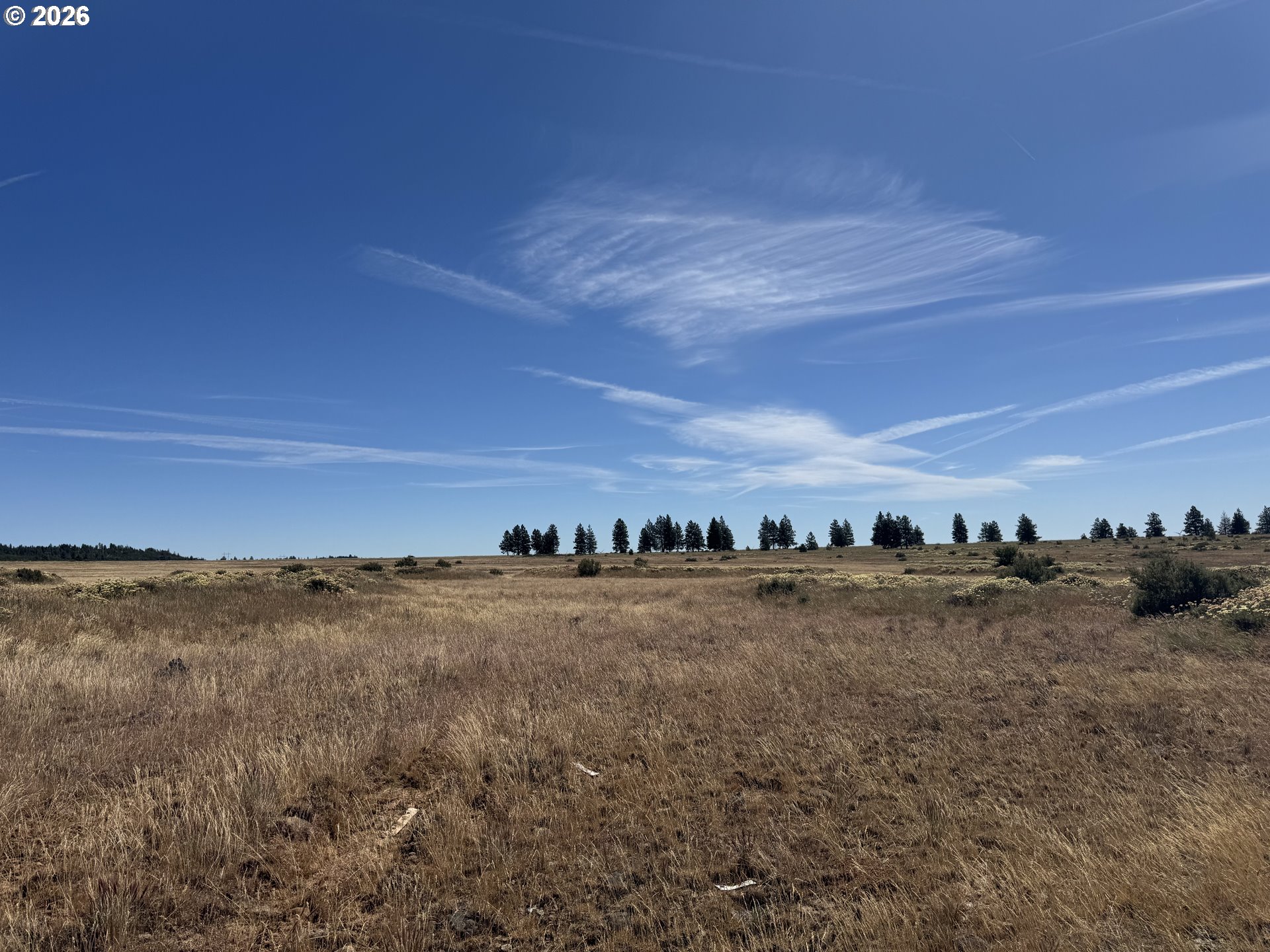 0 Bickleton Highway Bickleton, WA 99322 - Photo 10 of 15