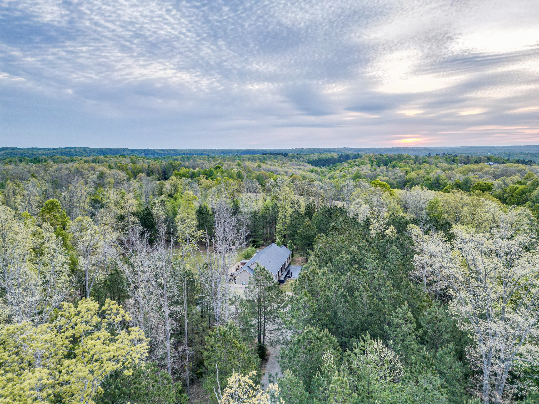 920 Mason Bates Bend Road Centerville, TN 37033 - Photo 6 of 82 Gallery Image 6