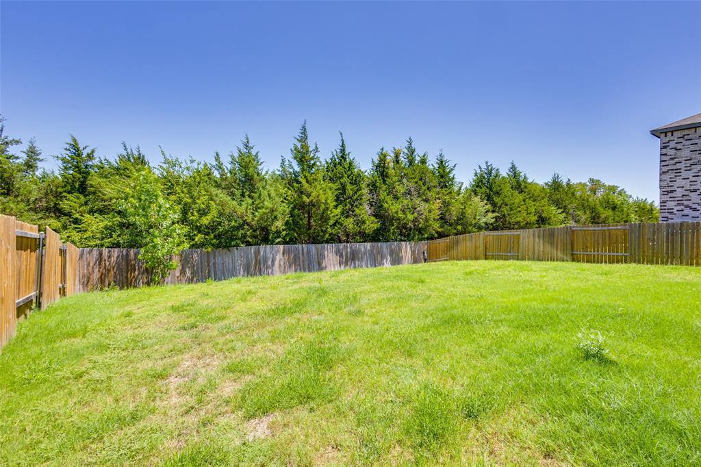 2256 Cashmere Way Princeton, TX 75407 - Photo 32 of 36 a backyard of a house
