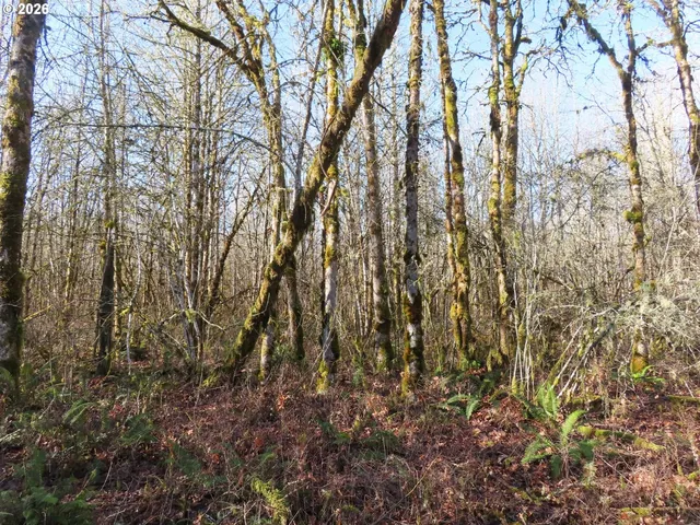 $109,900 | 115 Campground Lane, Winlock, WA 98596