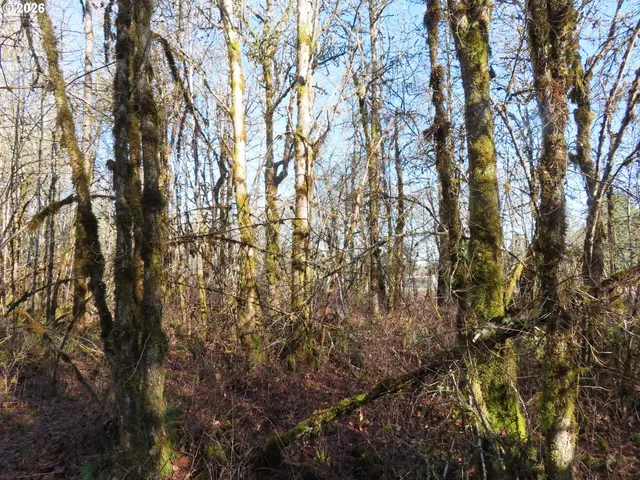 $109,900 | 115 Campground Lane, Winlock, WA 98596