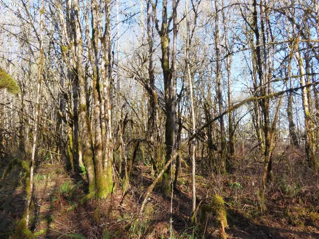 $109,900 | 115 Campground Lane, Winlock, WA 98596