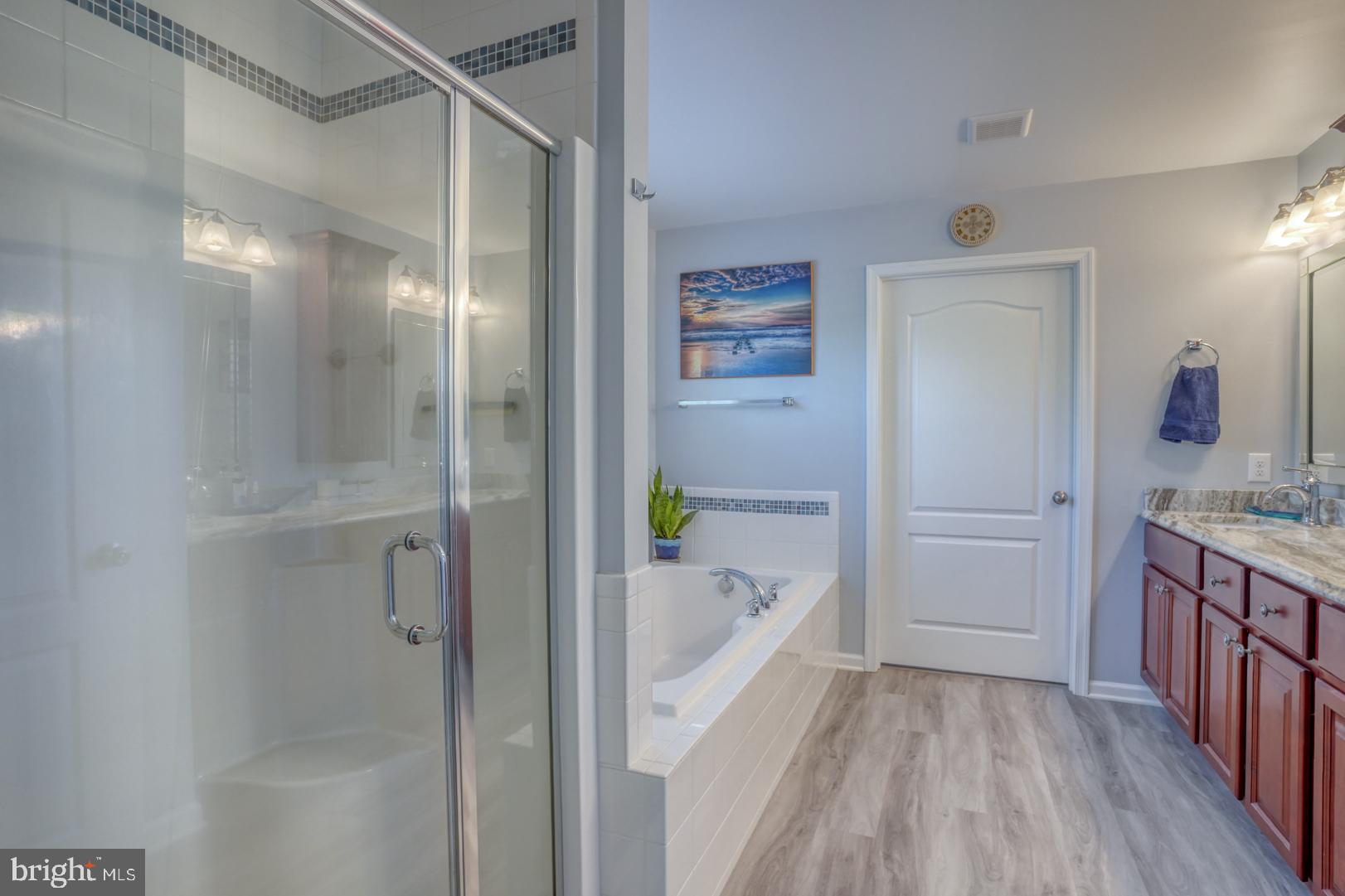 21555 Waterview Road Lewes, DE 19958 - Photo 34 of 63 Luxury Bathroom