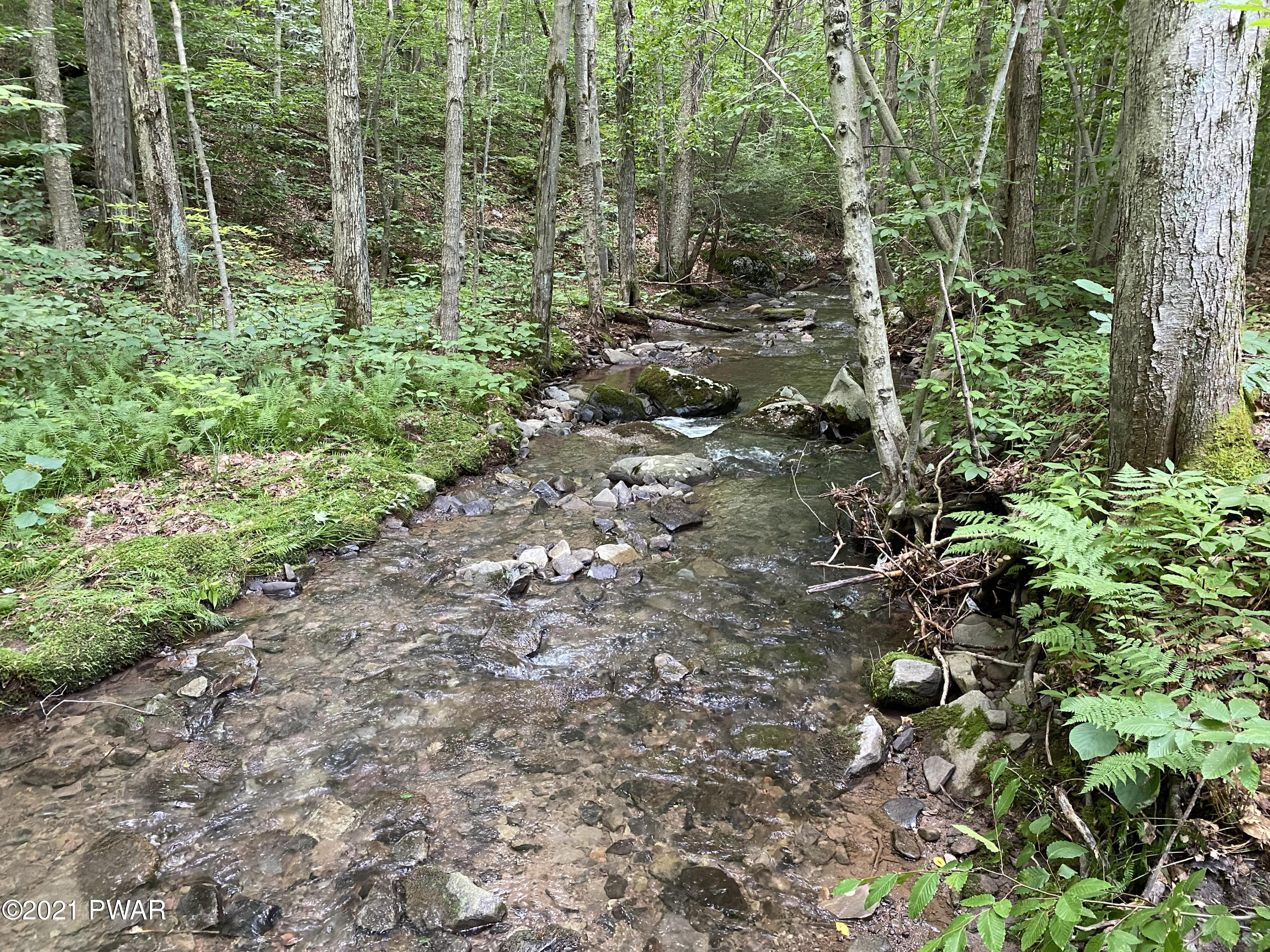 504 Ravnikar Road Forest City, PA 18421 - Photo 14 of 17
