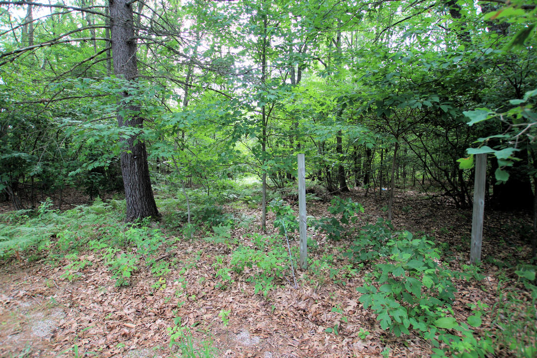 11285 Sikkenga Road Montague, MI 49437 - Photo 13 of 15 IMG_9881