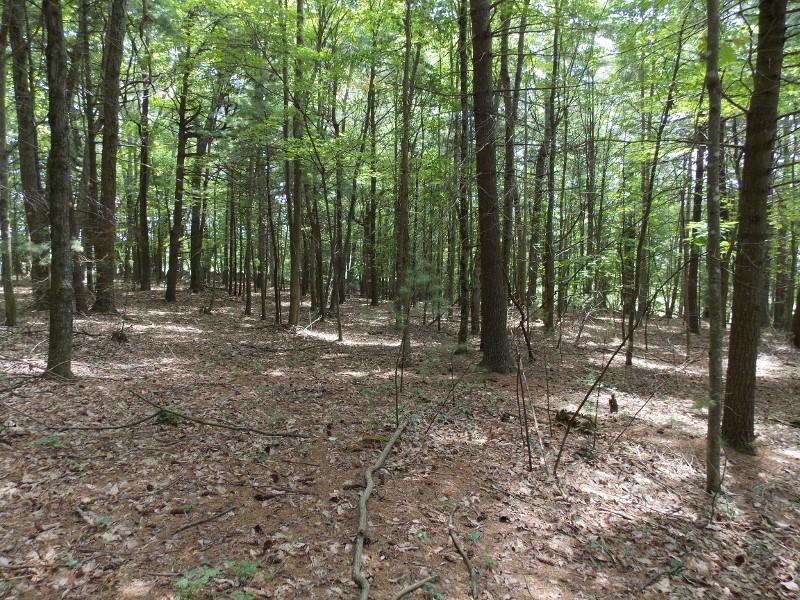245 Wild Cherry Road Northeast Pilot, VA 24138 - Photo 15 of 37 DSCN8182 (800x600)