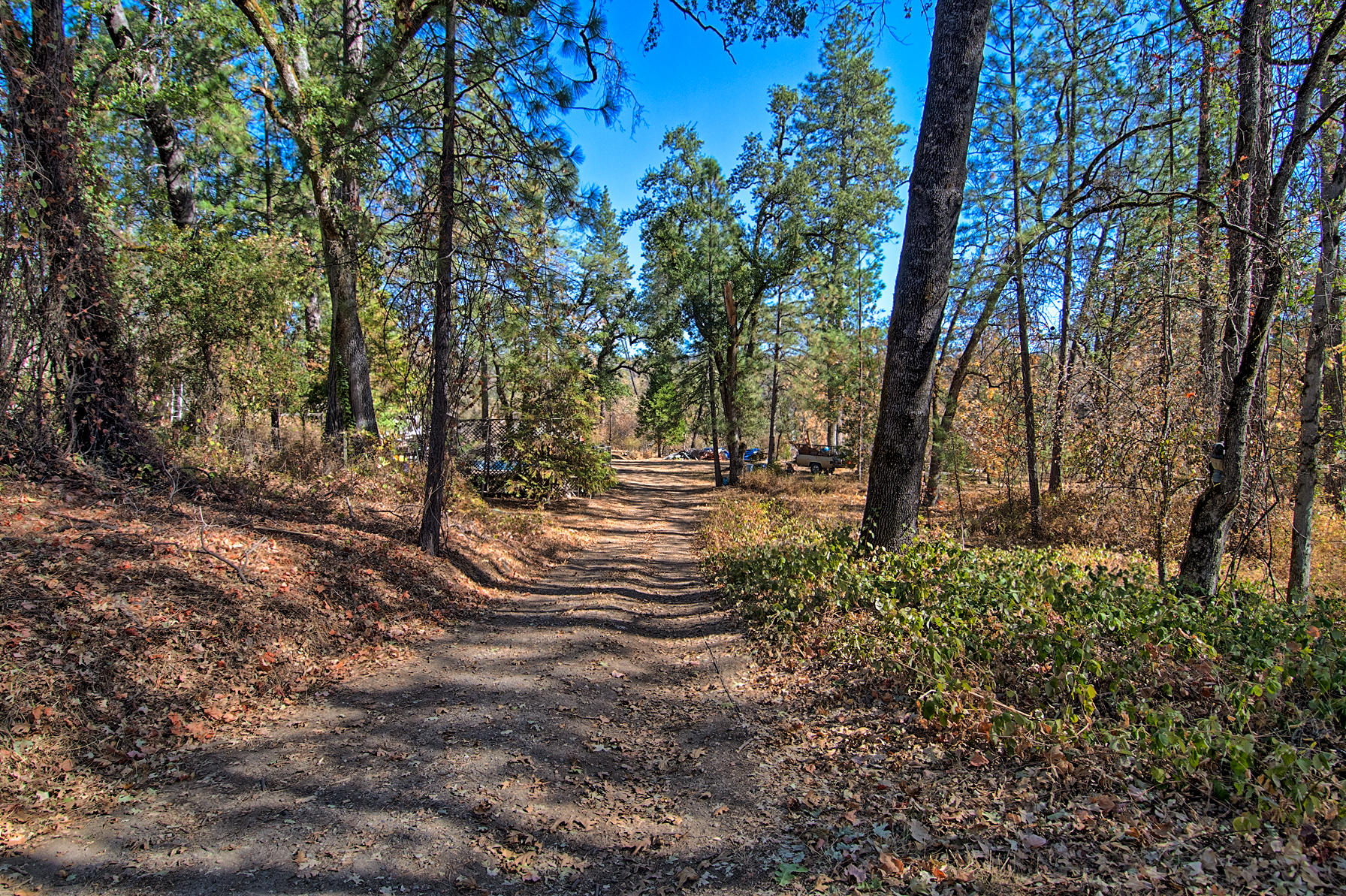 7161 Rector Creek Road Igo, CA 96047 - Photo 41 of 45 rector crk-140