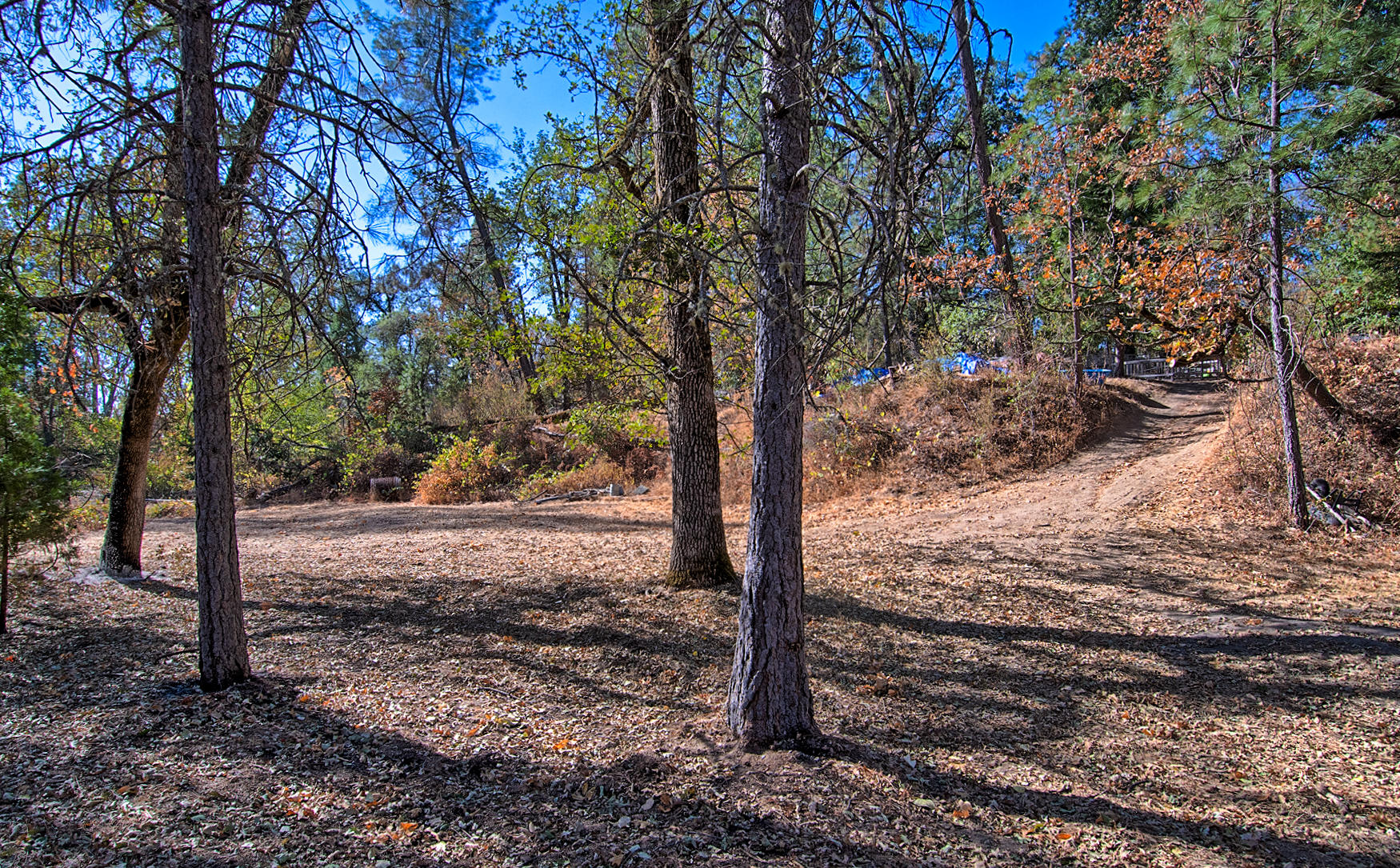 7161 Rector Creek Road Igo, CA 96047 - Photo 45 of 45 rector crk-144