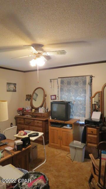 3513 Clayton Road Bonifay, FL 32425 - Photo 14 of 15