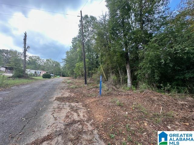 165 Roulain Road Odenville, AL 35120 - Photo 6 of 8 Gallery Image 6