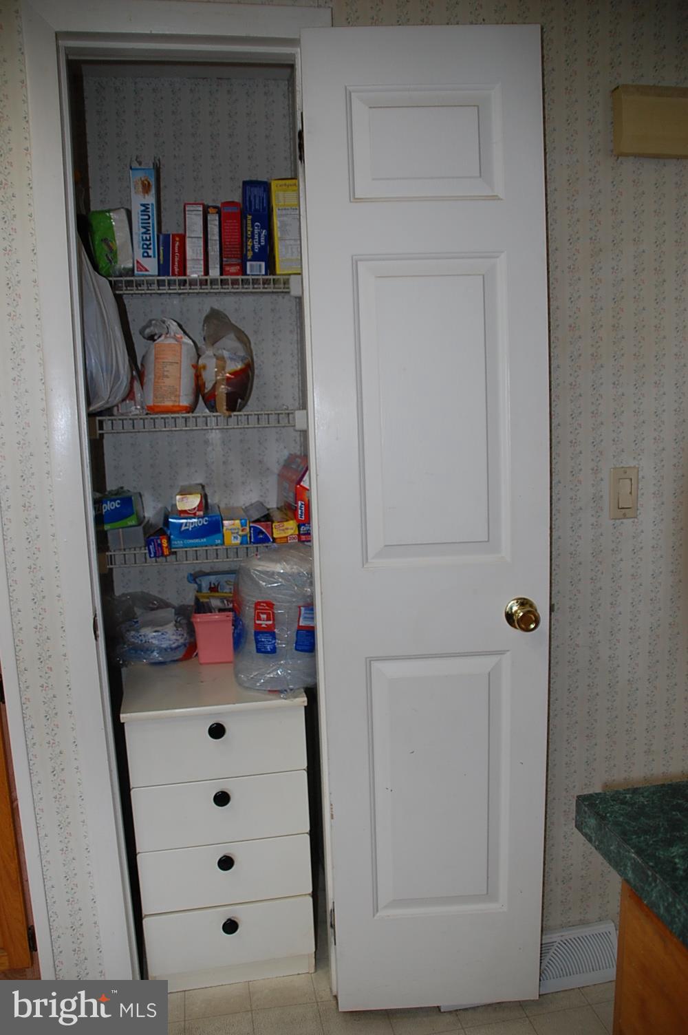 10505 Cedarville Road, Unit 91 Brandywine, MD 20613 - Photo 20 of 31 Pantry in Kitchen