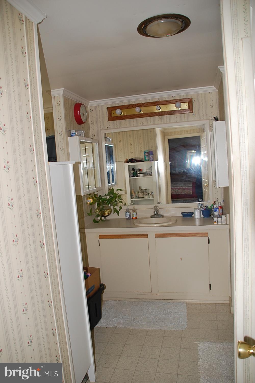 10505 Cedarville Road, Unit 91 Brandywine, MD 20613 - Photo 24 of 31 View into Master Bath