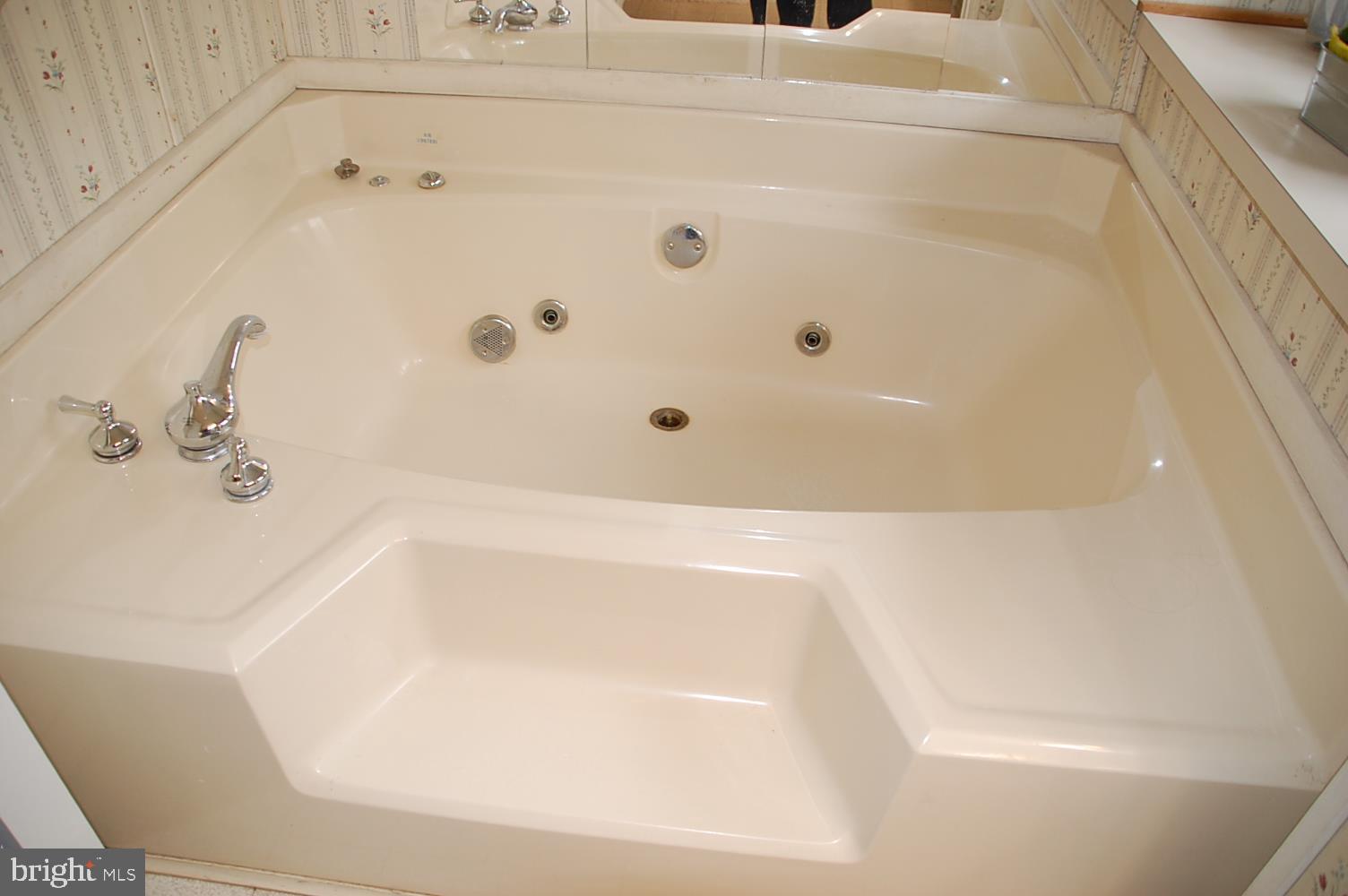 10505 Cedarville Road, Unit 91 Brandywine, MD 20613 - Photo 25 of 31 Jet Tub in Master Bath