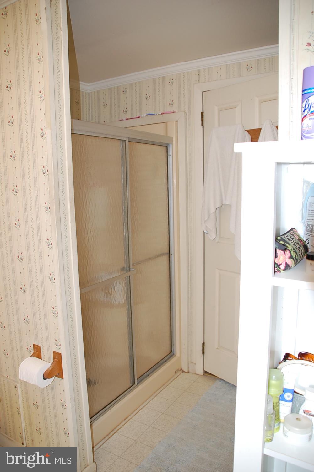 10505 Cedarville Road, Unit 91 Brandywine, MD 20613 - Photo 26 of 31 Stand Up Shower in Master Bath