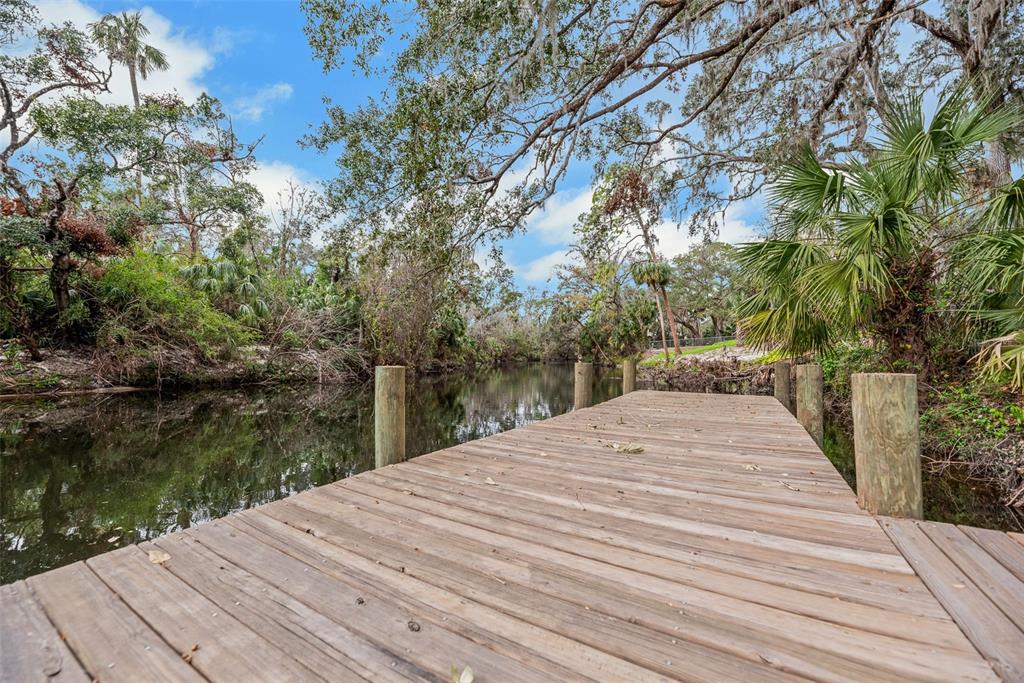 4641 John Moore Road Brandon, FL 33511 - Photo 79 of 79