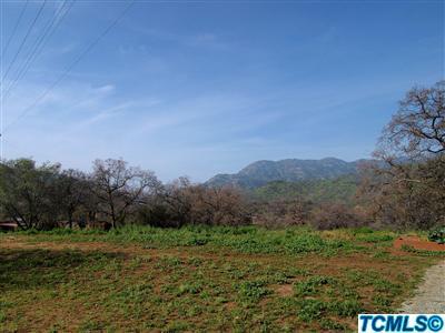 40131 Pierce Drive Three Rivers, CA 93271 - Photo 5 of 25 a view of a field with an outdoor space