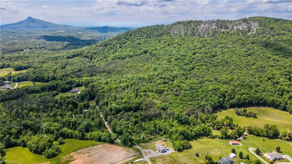 1060 Birdsong Road King, NC 27021 - Photo 3 of 31