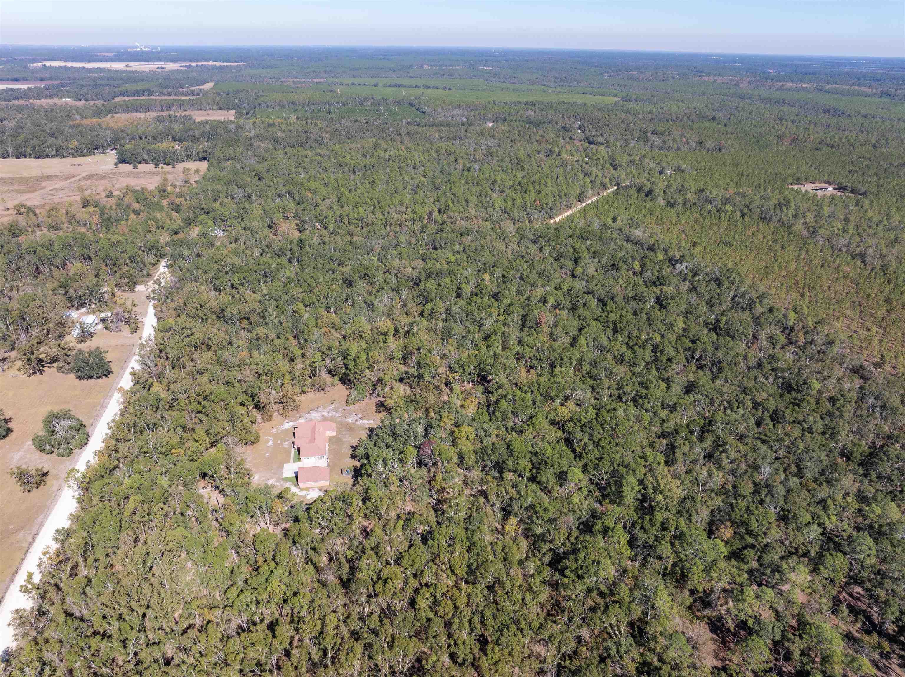 6172 Northeast Hickory Grove Road Pinetta, FL 32350 - Photo 17 of 46