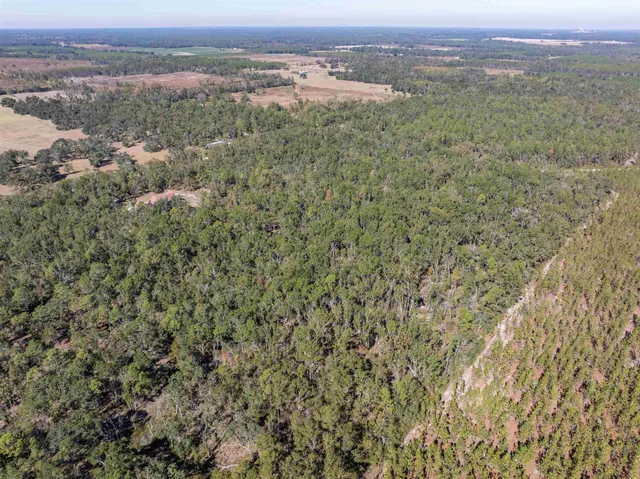 $675,000 | 6172 Northeast Hickory Grove Road, Pinetta, FL 32350