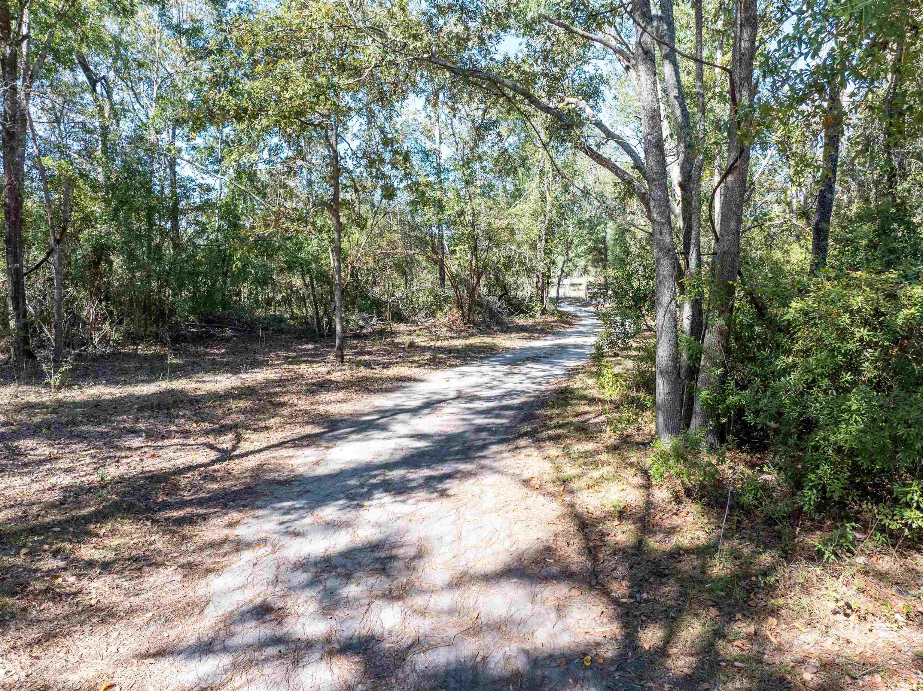 6172 Northeast Hickory Grove Road Pinetta, FL 32350 - Photo 19 of 46