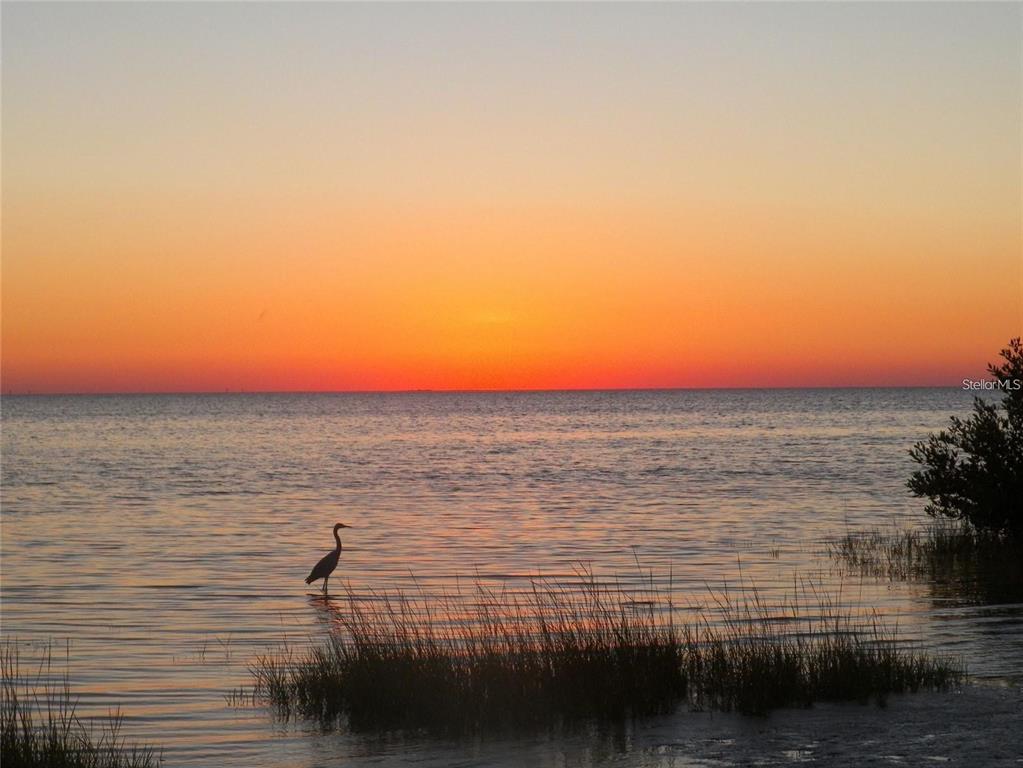 1 Green Key Road New Port Richey, FL 34652 - Photo 15 of 16