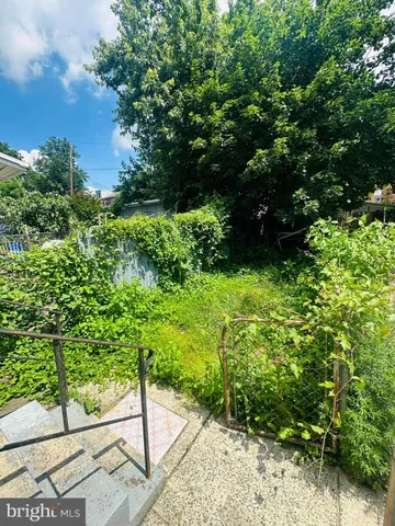 a view of a garden with plants