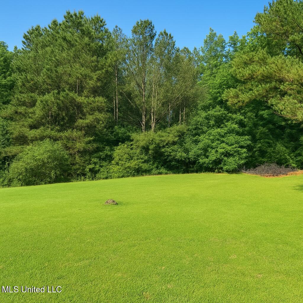 70 Yarbrough Loop Holly Springs, MS 38635 - Photo 17 of 17 FD5572C4-D2CB-47DA-961F-A78575A0AF22 2