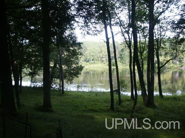 Parcel 2 Off County Rd 577, Unit 2 Carney, MI 49812 - Photo 7 of 13