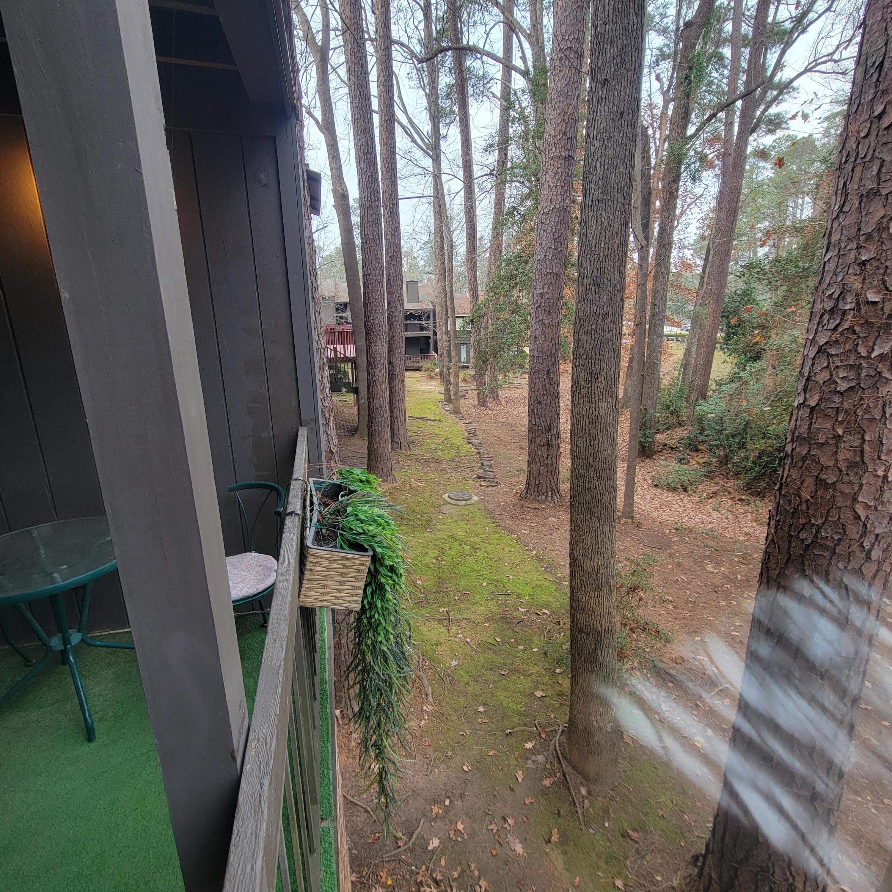 3502 Prestwick Drive Martinez, GA 30907 - Photo 66 of 72 20260108_160503