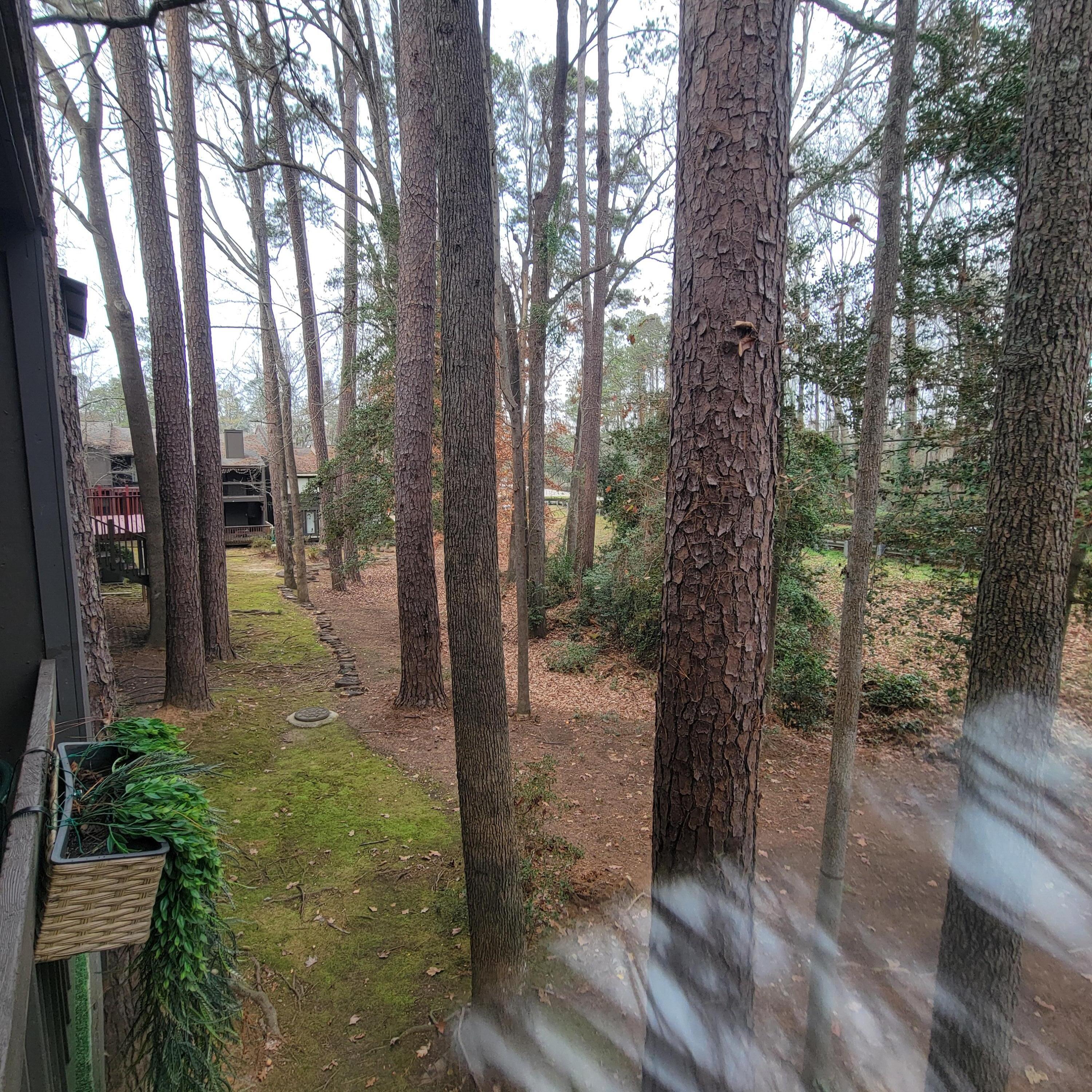 3502 Prestwick Drive Martinez, GA 30907 - Photo 67 of 72 20260108_160506