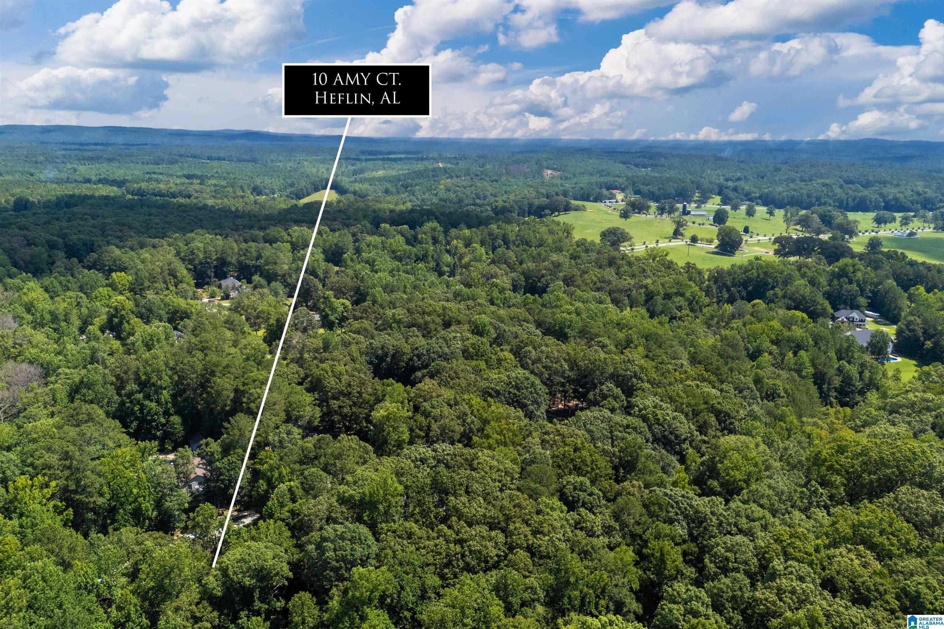 10 Amy Court Heflin, AL 36264 - Photo 37 of 37