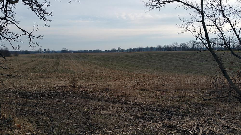 11359 Warner Road Concord, MI 49237 - Photo 2 of 6 Photo 2