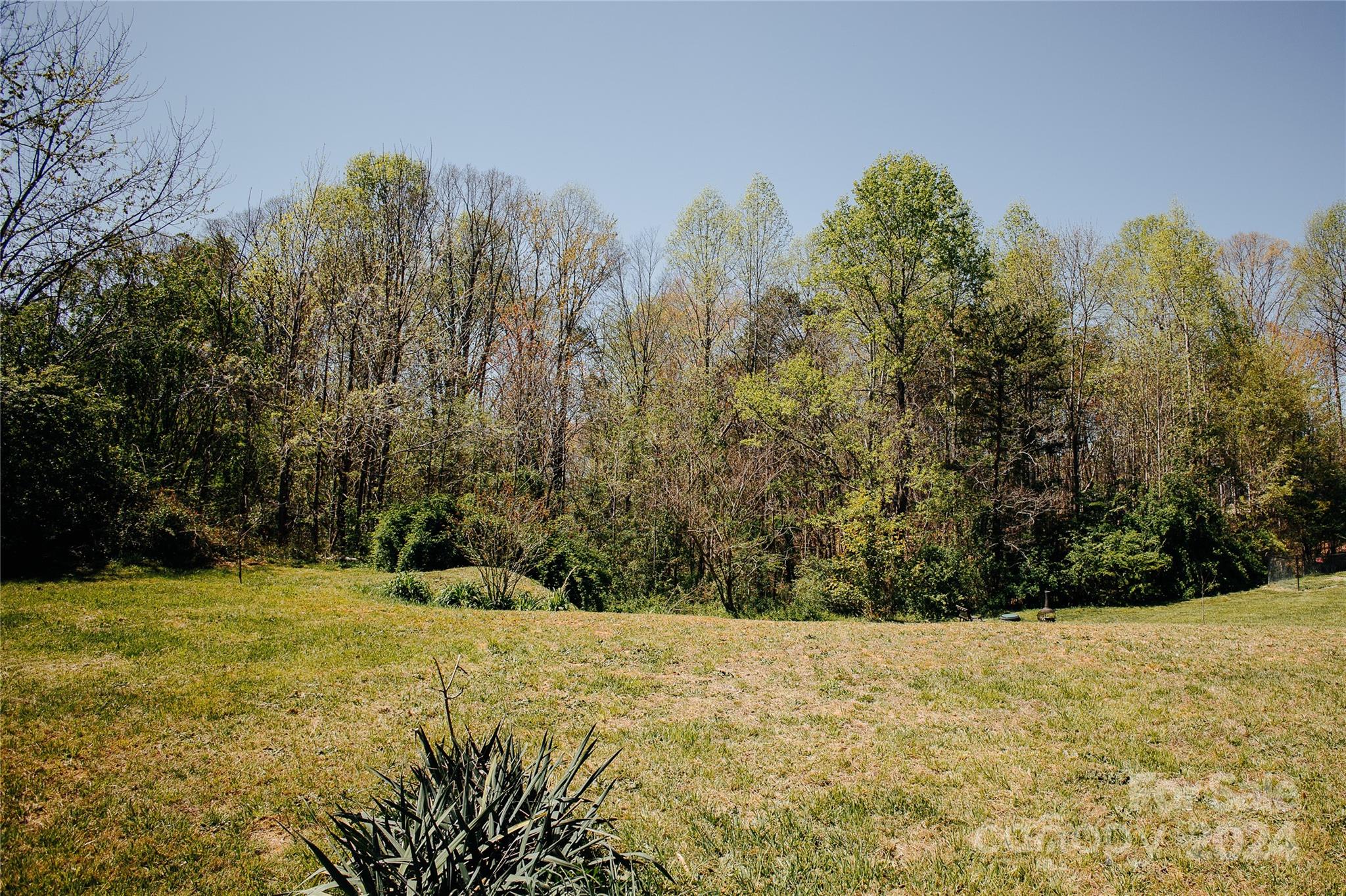 91 Apache Path Marion, NC 28752 - Photo 10 of 47 Gallery Image 10