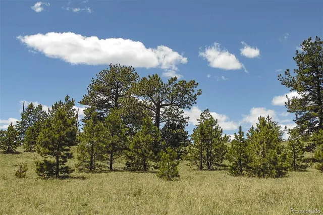 a view of a lake with a mountain