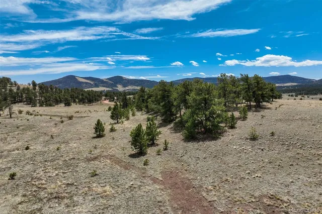 a view of a yard with trees in the background